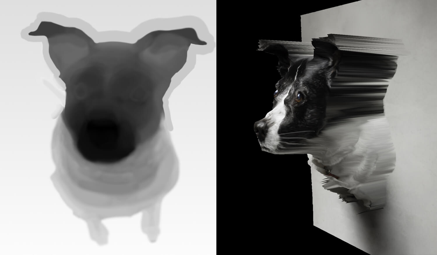 Depth map + photo = 3D geometry